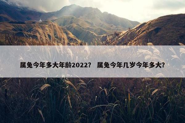 属兔今年多大年龄2022？ 属兔今年几岁今年多大？