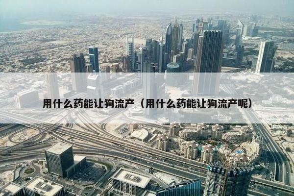 用什么药能让狗流产（用什么药能让狗流产呢）