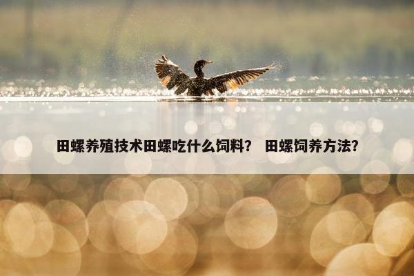 田螺养殖技术田螺吃什么饲料？ 田螺饲养方法？