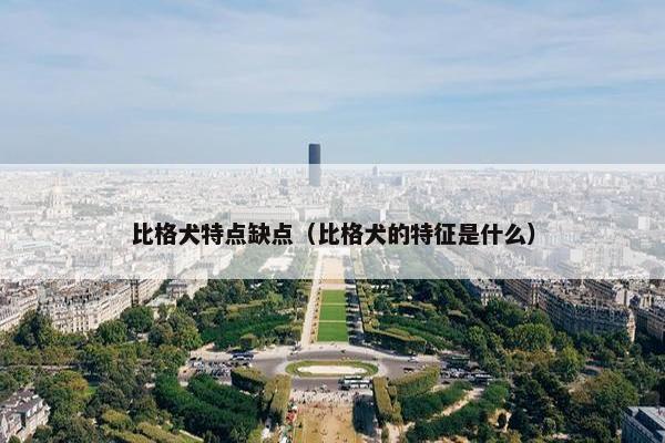 比格犬特点缺点（比格犬的特征是什么）