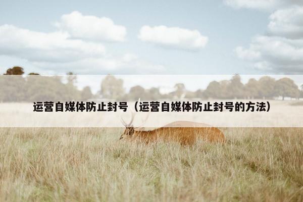 运营自媒体防止封号（运营自媒体防止封号的方法）