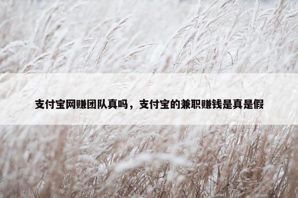 支付宝网赚团队真吗，支付宝的兼职赚钱是真是假