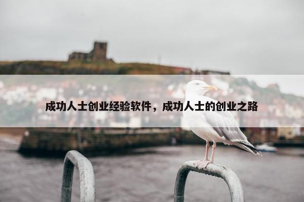 成功人士创业经验软件，成功人士的创业之路