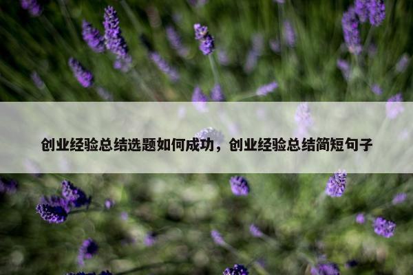 创业经验总结选题如何成功，创业经验总结简短句子