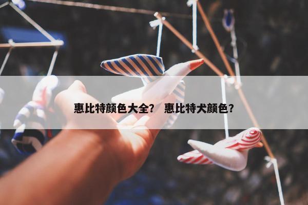 惠比特颜色大全？ 惠比特犬颜色？