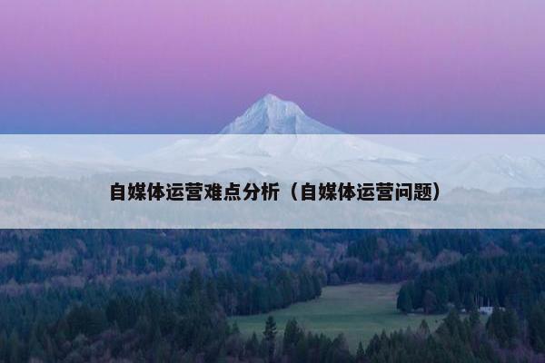 自媒体运营难点分析（自媒体运营问题）
