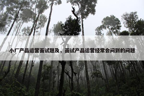 小厂产品运营面试题及，面试产品运营经常会问到的问题