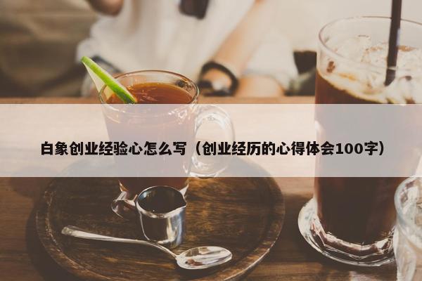 白象创业经验心怎么写（创业经历的心得体会100字）