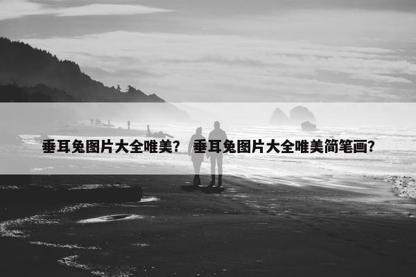 垂耳兔图片大全唯美？ 垂耳兔图片大全唯美简笔画？