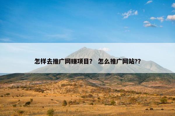怎样去推广网赚项目？ 怎么推广网站?？