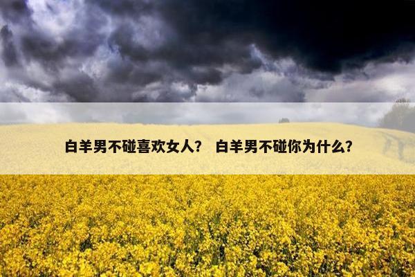 白羊男不碰喜欢女人？ 白羊男不碰你为什么？