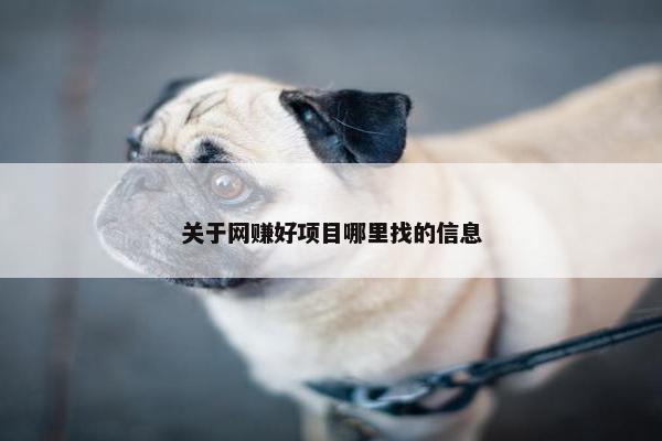 关于网赚好项目哪里找的信息