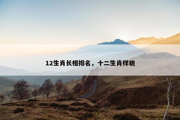 12生肖长相排名，十二生肖样貌