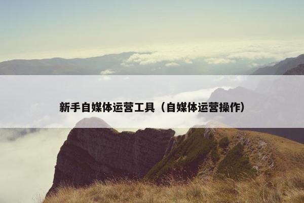 新手自媒体运营工具（自媒体运营操作）