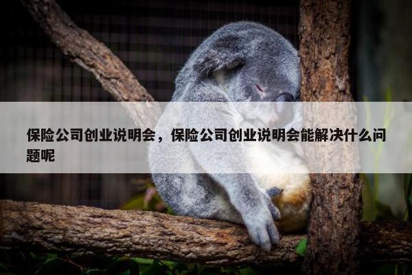 保险公司创业说明会，保险公司创业说明会能解决什么问题呢