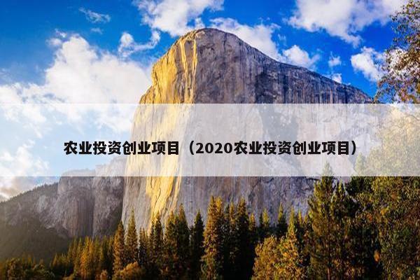 农业投资创业项目（2020农业投资创业项目）