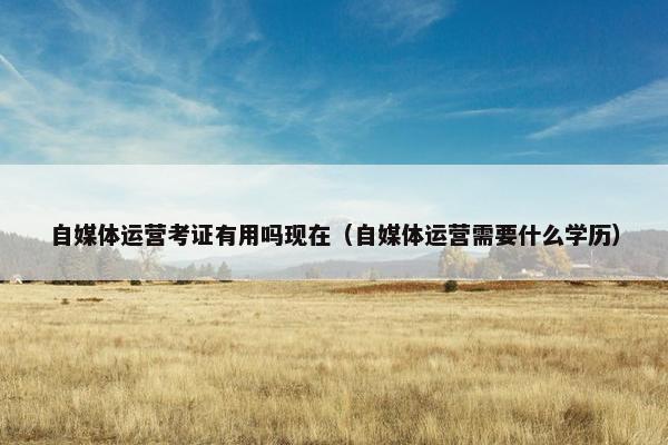 自媒体运营考证有用吗现在（自媒体运营需要什么学历）