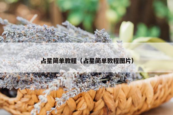 占星简单教程（占星简单教程图片）