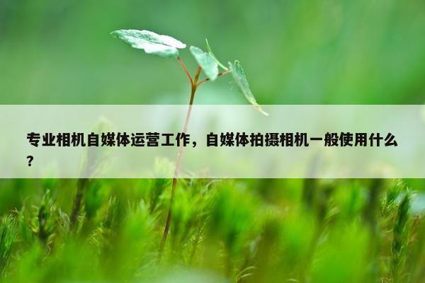 专业相机自媒体运营工作，自媒体拍摄相机一般使用什么?