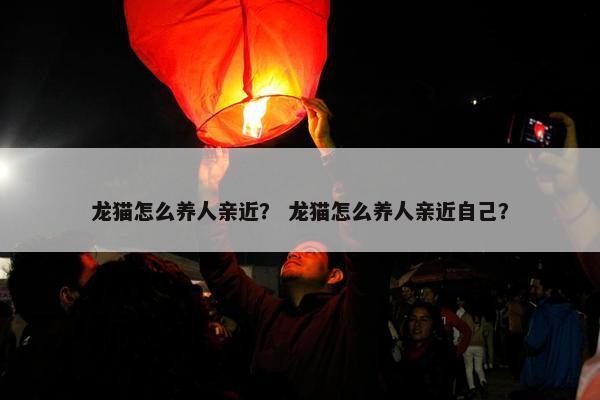 龙猫怎么养人亲近？ 龙猫怎么养人亲近自己？