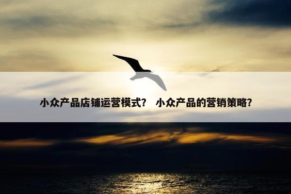 小众产品店铺运营模式？ 小众产品的营销策略？
