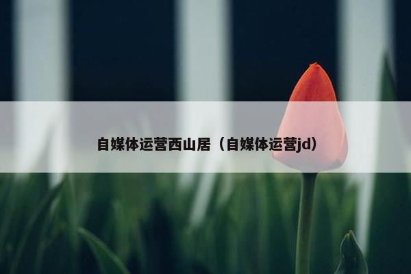 自媒体运营西山居（自媒体运营jd）