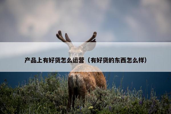 产品上有好货怎么运营（有好货的东西怎么样）