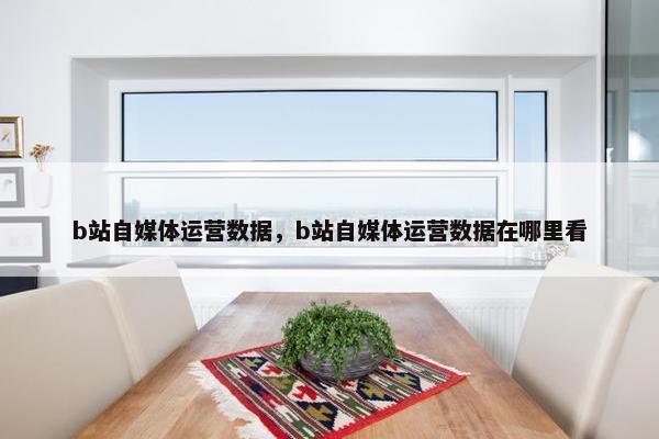 b站自媒体运营数据，b站自媒体运营数据在哪里看