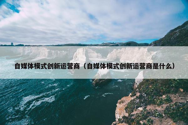 自媒体模式创新运营商（自媒体模式创新运营商是什么）