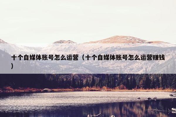 十个自媒体账号怎么运营（十个自媒体账号怎么运营赚钱）