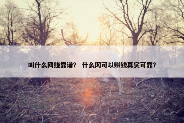 叫什么网赚靠谱？ 什么网可以赚钱真实可靠？
