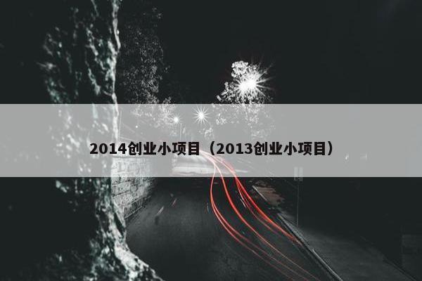 2014创业小项目（2013创业小项目）