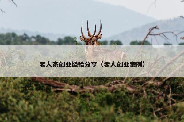 老人家创业经验分享（老人创业案例）