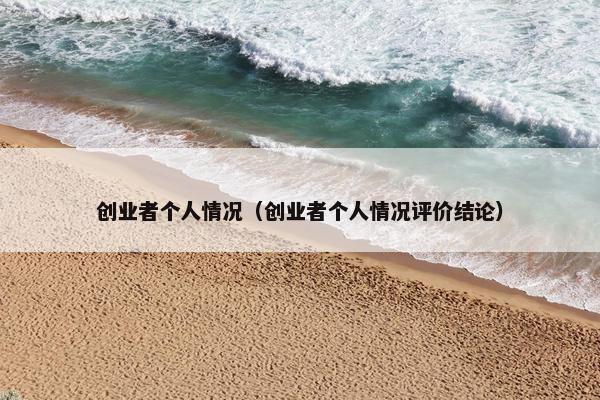 创业者个人情况（创业者个人情况评价结论）