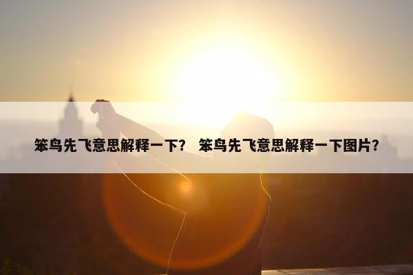 笨鸟先飞意思解释一下？ 笨鸟先飞意思解释一下图片？