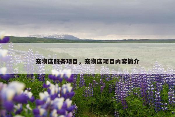 宠物店服务项目，宠物店项目内容简介
