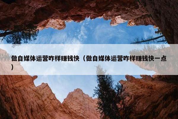 做自媒体运营咋样赚钱快（做自媒体运营咋样赚钱快一点）