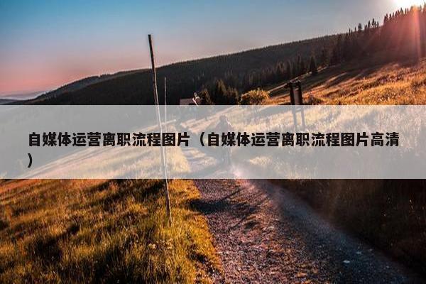 自媒体运营离职流程图片（自媒体运营离职流程图片高清）