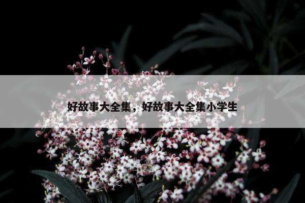 好故事大全集，好故事大全集小学生