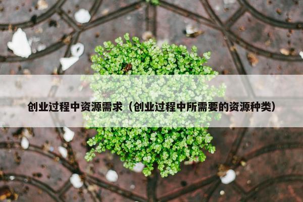 创业过程中资源需求（创业过程中所需要的资源种类）