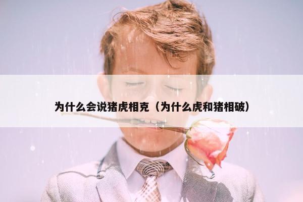 为什么会说猪虎相克（为什么虎和猪相破）