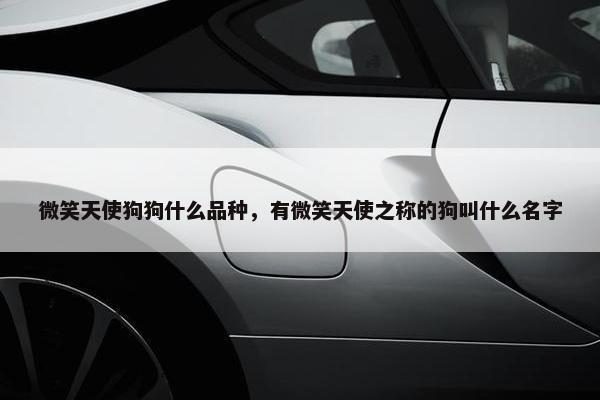 微笑天使狗狗什么品种，有微笑天使之称的狗叫什么名字