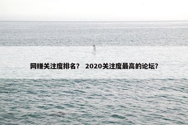 网赚关注度排名？ 2020关注度最高的论坛？