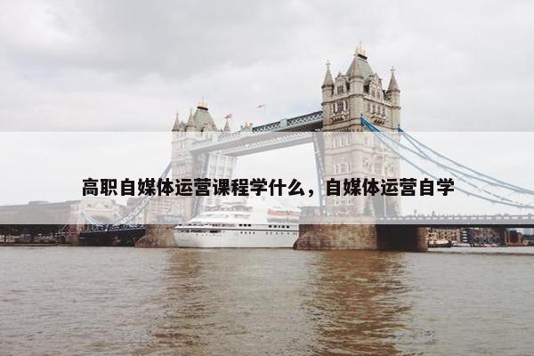 高职自媒体运营课程学什么，自媒体运营自学