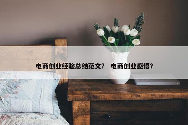 电商创业经验总结范文？ 电商创业感悟？