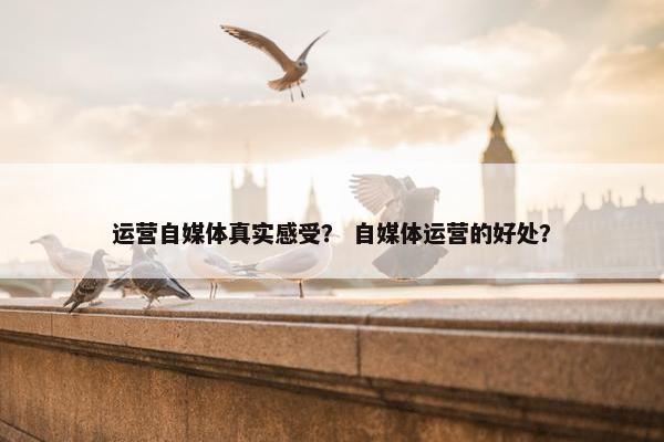 运营自媒体真实感受？ 自媒体运营的好处？