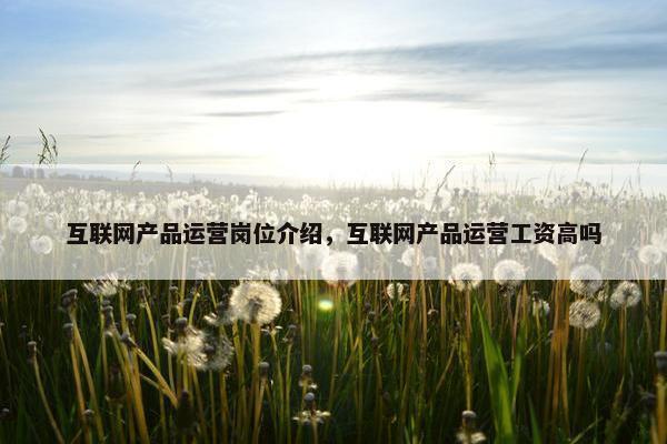 互联网产品运营岗位介绍，互联网产品运营工资高吗