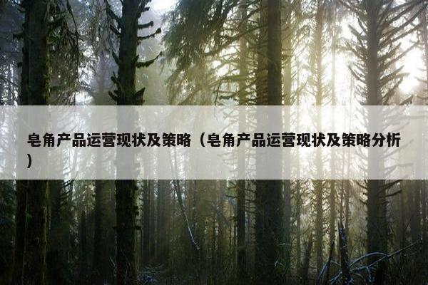 皂角产品运营现状及策略（皂角产品运营现状及策略分析）