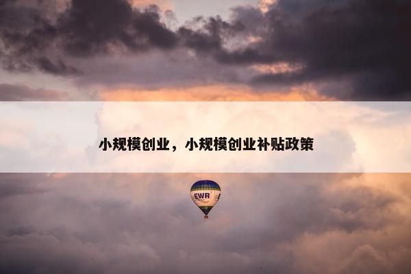 小规模创业，小规模创业补贴政策