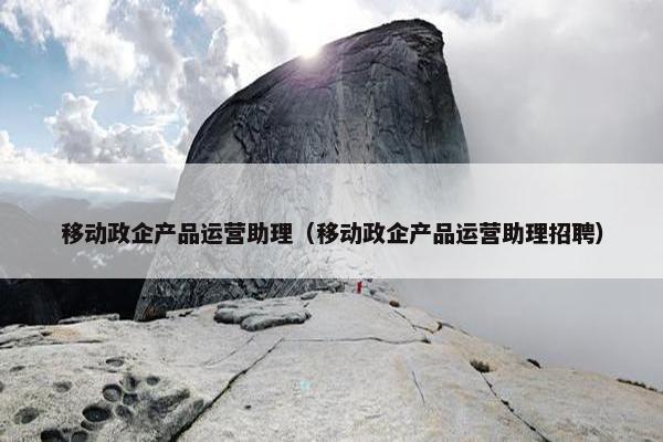 移动政企产品运营助理（移动政企产品运营助理招聘）